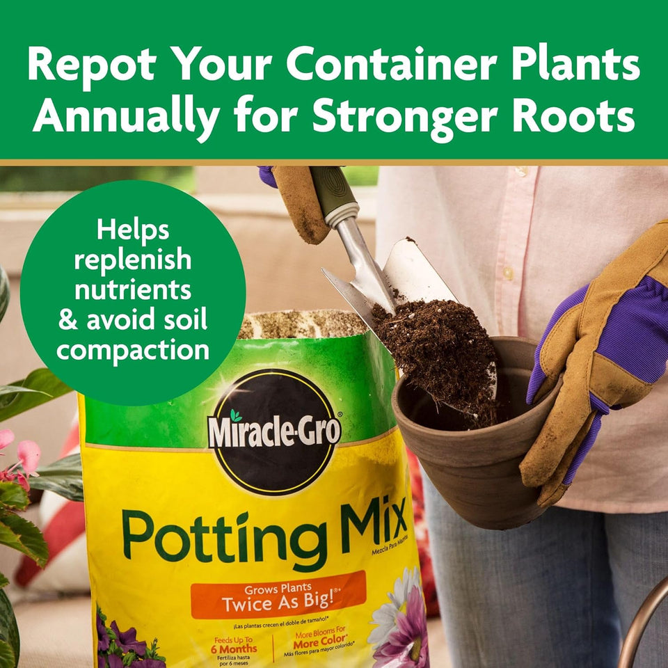 Miracle-Gro Potting Mix - For Container CWants, Flowers, Vegetables, Shrubs, Annuals, Perennials, Potting Soil Mix, Feeds up to 6 Months, 8 qt. (2-Pack)
