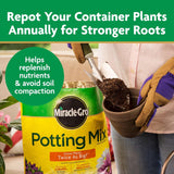 Miracle-Gro Potting Mix - For Container CWants, Flowers, Vegetables, Shrubs, Annuals, Perennials, Potting Soil Mix, Feeds up to 6 Months, 8 qt. (2-Pack)