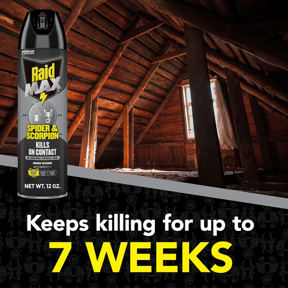 Raid Max Spider and Scorpion Killer, Kills Spiders, Scorpions, Roaches, Ants, Waterbugs, Earwigs, 12 Oz