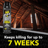 Raid Max Spider and Scorpion Killer, Kills Spiders, Scorpions, Roaches, Ants, Waterbugs, Earwigs, 12 Oz