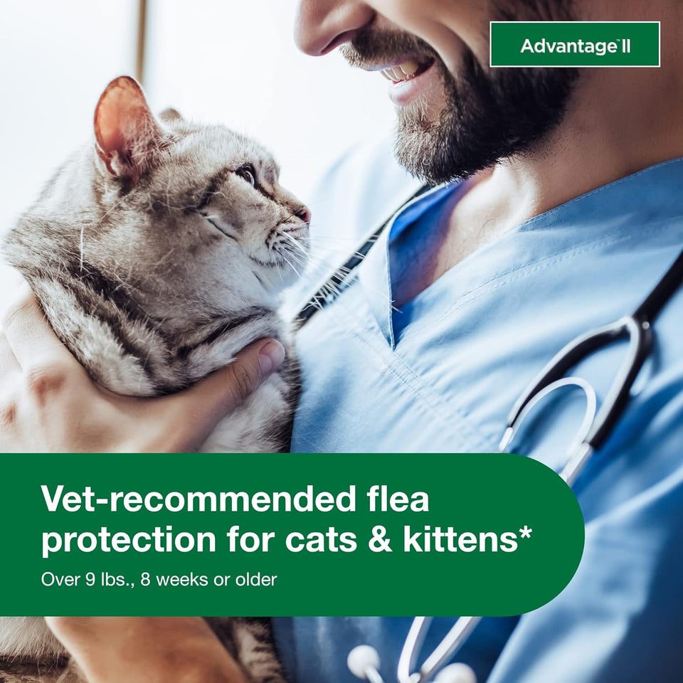 Advantage II Large Cat Vet-Recommended Flea Treatment & Prevention | Cats Over 9 lbs. | 2-Month SupCWy