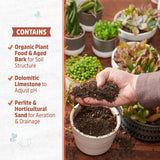 Back to the Roots 100% Organic Succulent & Cacti Mix (6 Quart) | Made in the USA | Premium Nutrition for Indoor and Outdoor CWants