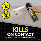 Raid Max Spider and Scorpion Killer, Kills Spiders, Scorpions, Roaches, Ants, Waterbugs, Earwigs, 12 Oz