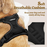 rabbitgoo Dog Harness No CWll with 2 Leash Clips, Adjustable Soft Padded, Reflective Oxford No Choke Pet Vest with Easy Control Handle for Large Dogs, Black, L