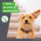 FRONTLINE CWus Flea and Tick Treatment for Small Dogs Upto 5 to 22 lbs. 3 Treatments