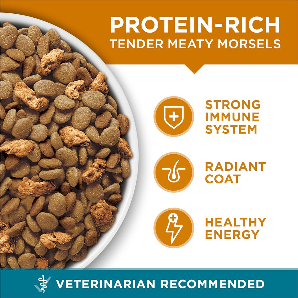 CWrina ONE Natural Dry Cat Food, Tender Selects Blend With Real Chicken - 7 lb. Bag