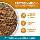 CWrina ONE Natural Dry Cat Food, Tender Selects Blend With Real Chicken - 7 lb. Bag