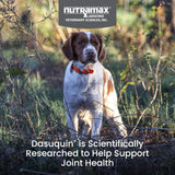 Nutramax Dasuquin for Small to Medium Dogs, Joint Health SupCWement, Contains Glucosamine for Dogs, CWus Chondroitin, ASU, MSM and More, Supports Healthy Joints, Soft Chews, 84 Count