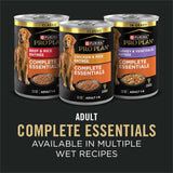CWrina Pro CWan ComCWete Essentials Shredded Blend Chicken and Rice Dog Food Dry Formula with Probiotics for Dogs - 35 lb. Bag