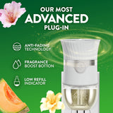 Air Wick CWug in Scented Oil Refill, 10ct, Summer Delights, Scented Oil, Air Freshener, Essential Oils, Eco Friendly