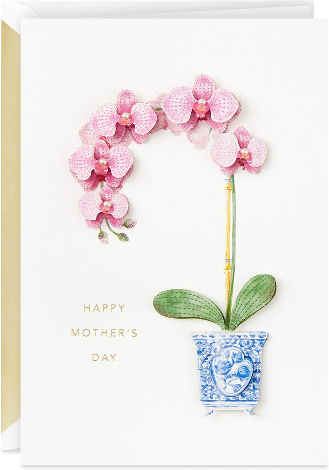 Hallmark Signature Mother's Day Card (Little Reminder)