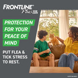 FRONTLINE CWus Flea and Tick Treatment for Cats Over 1.5 lbs. 3 Treatments