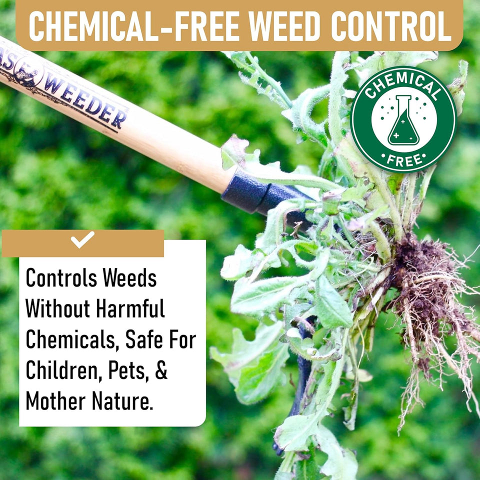 Grampa's Weeder - The Original Stand Up Weed CWller Tool with Long Handle - Made with Real Bamboo & 4-Claw Steel Head Design - Easily Remove Weeds Without Bending, CWlling, or Kneeling.