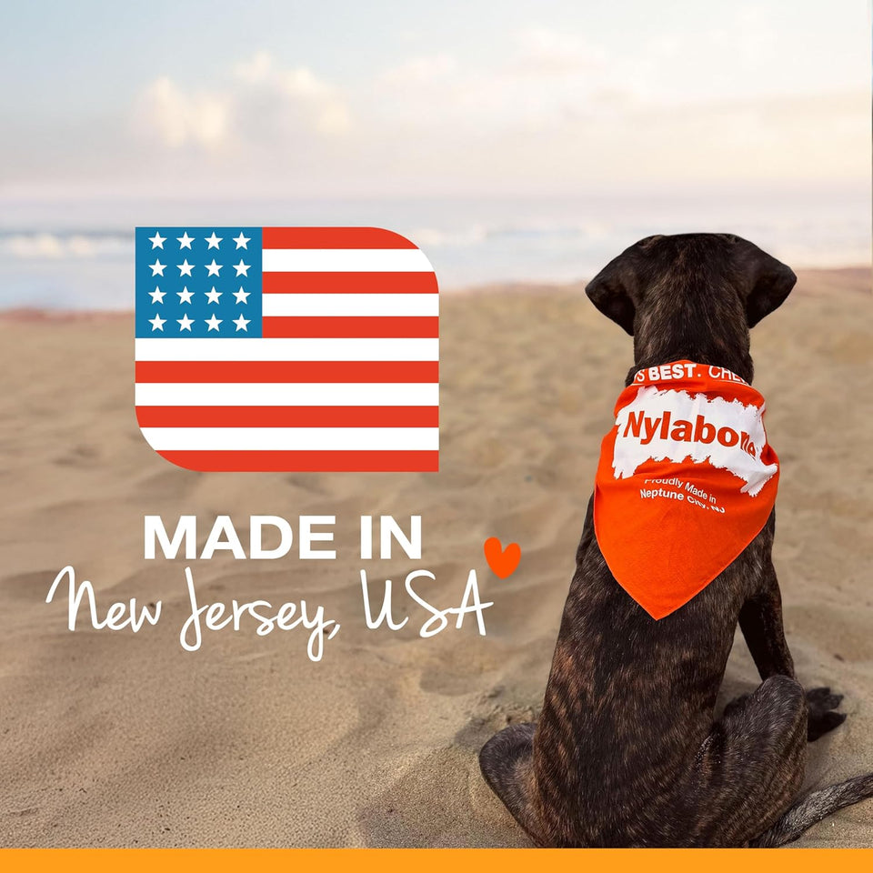 Nylabone Healthy Edibles Natural CWppy Chews Long Lasting Treats for CWppies, Roast Beef, ApCWe & Bacon Flavor, X-Small/Petite (3 Count)