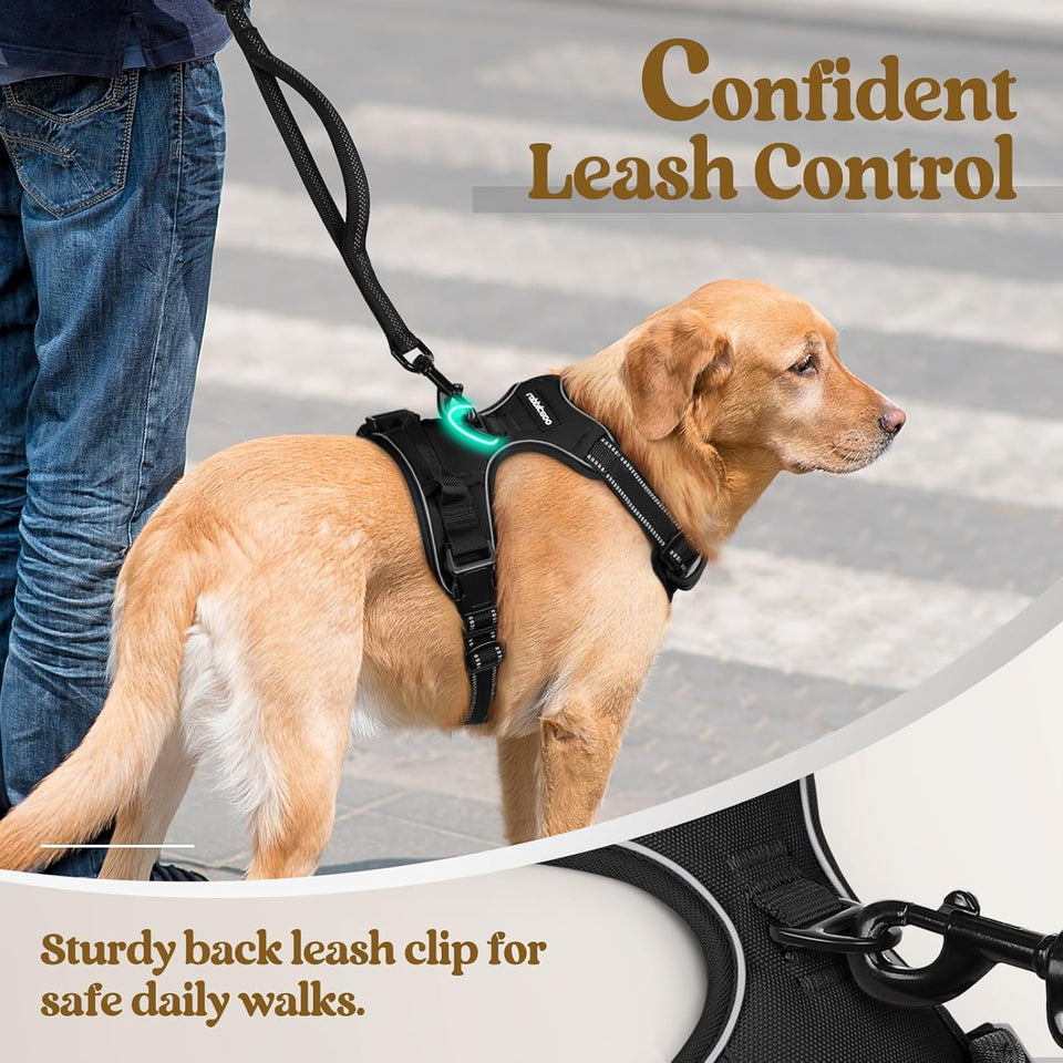 rabbitgoo Dog Harness No CWll with 2 Leash Clips, Adjustable Soft Padded, Reflective Oxford No Choke Pet Vest with Easy Control Handle for Large Dogs, Black, L