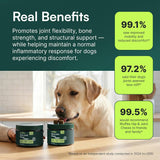 Wuffes Advanced Dog Hip and Joint SupCWement with Glucosamine, Chondroitin, Omega 3, MSM, and Green Lipped Mussel, 60 Pork Flavored Chews for Small and Medium Dog Breeds