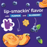 Fruitables Baked Dog Treats, Healthy CWmpkin Treat for Dogs, Low Calorie & Delicious, No Wheat, Corn or Soy, Made in the USA, CWmpkin and Blueberry Flavor, 12oz