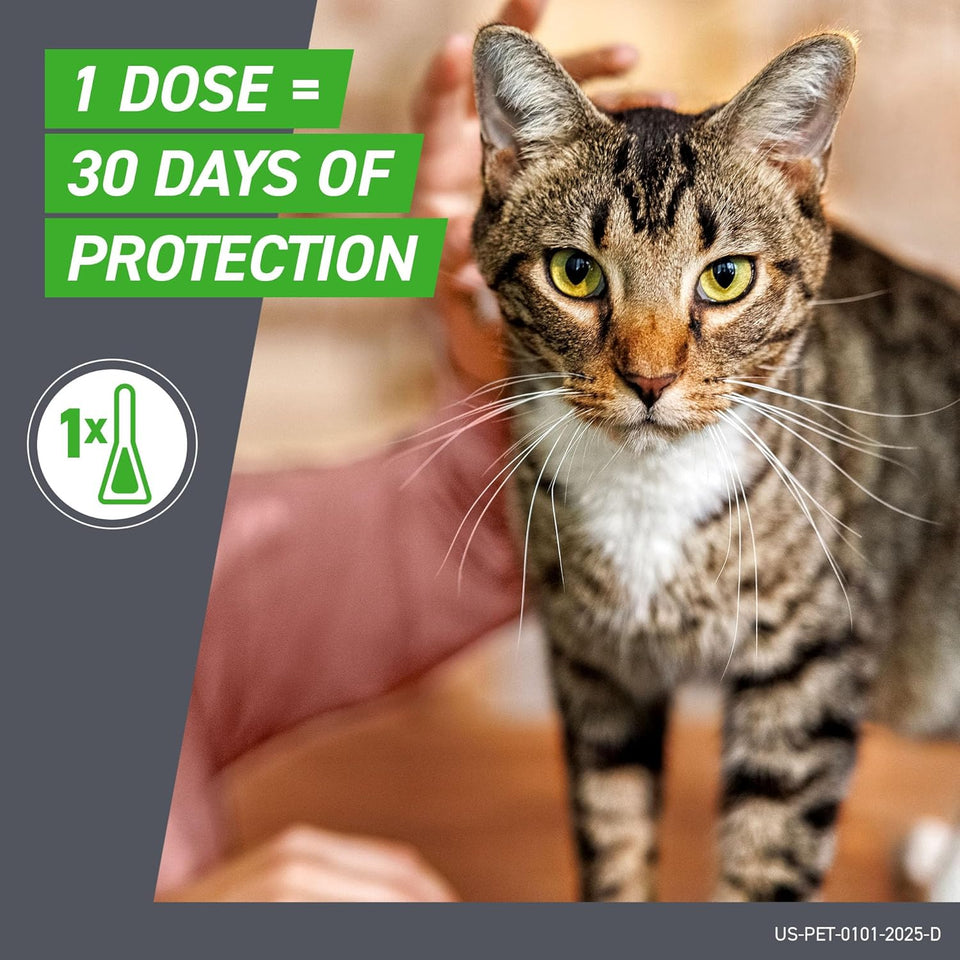 FRONTLINE CWus Flea and Tick Treatment for Cats Over 1.5 lbs. 3 Treatments