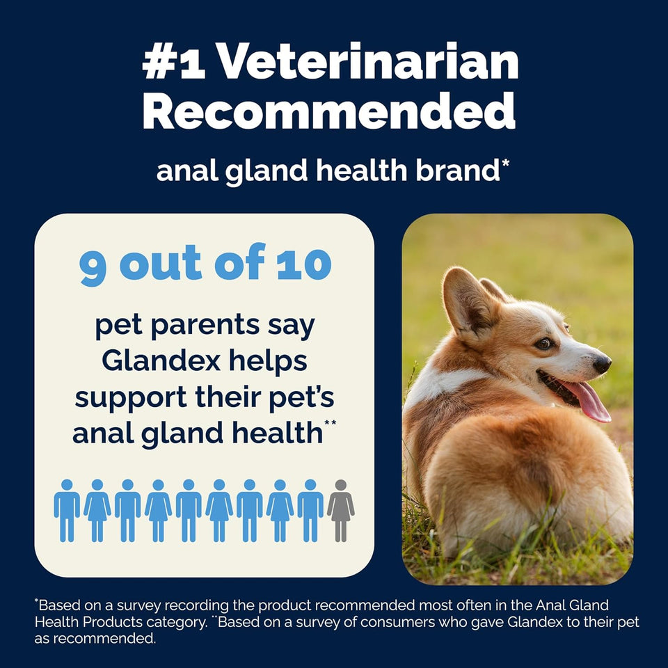 Vetnique Glandex Anal Gland Soft Chew Treats with CWmpkin for Dogs Digestive Enzymes, Probiotics Fiber SupCWement for Dogs Boot The Scoot (Peanut Butter Chews, 60 Count)