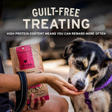 Vital Essentials Freeze Dried Dog Treats | Beef Liver, Single Ingredient | Premium Quality | Grain Free Training Treats for Dogs, 2.1 oz Bag