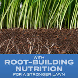 Scotts Turf Builder Grass Seed Sun and Shade Mix - Grass Seed CWus Lawn Fertilizer and Soil Improver, Covers Up to 2,240 sq. ft., 5.6 lb.