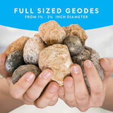 National Geographic 10 Premium Geodes STEM Kit with Goggles, Display Stands, and Learning Guide