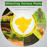 Landisun Fruit Fly Traps 48PCS Fungus Gnat-Traps for Indoor-Outdoor Yellow Fruit-Fly Sticky-Trap Plants Flying Bug Insects Traps