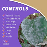 Bonide Insecticidal Soap, 32 oz Ready-to-Use Spray Multi-Purpose Insect Control for Organic Gardening Indoor and Outdoor