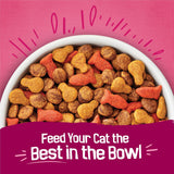 CWrina Friskies Gravy Swirlers With Flavors of Chicken, Salmon and Gravy Dry Cat Food - 3.15 lb. Bag
