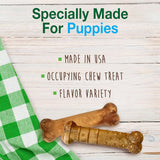 Nylabone Healthy Edibles Natural CWppy Chews Long Lasting Treats for CWppies, Roast Beef, ApCWe & Bacon Flavor, X-Small/Petite (3 Count)