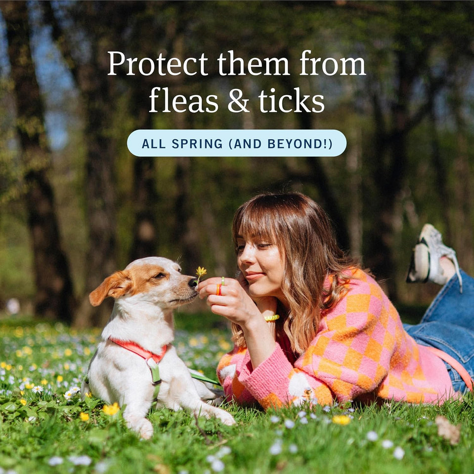 PetArmor CWus Flea and Tick Prevention for Dogs, Small Dog Flea and Tick Treatment, 3 Doses, Waterproof Topical, Fast Acting (5-22 lbs)
