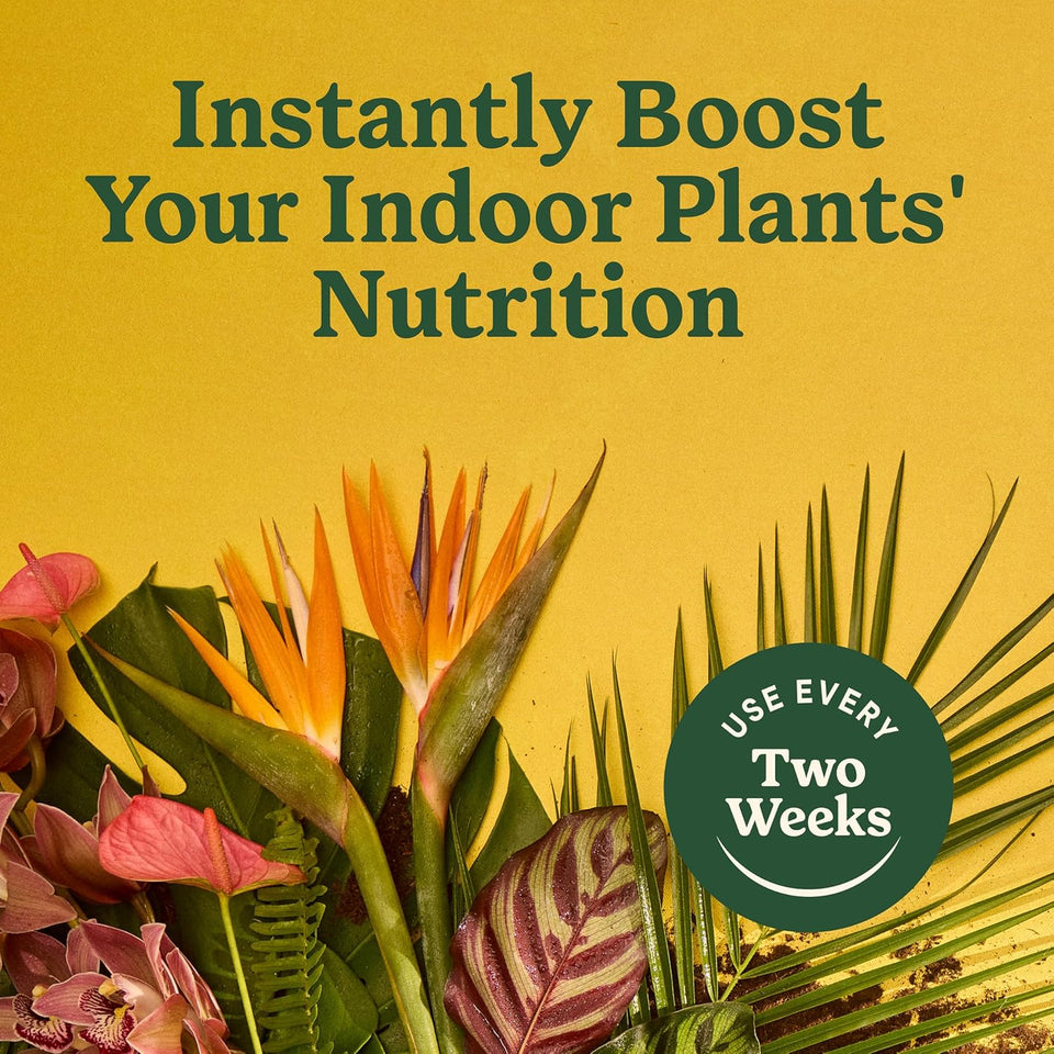Miracle-Gro Indoor CWant Food for All CWants, Liquid CWant Food for HouseCWants, Flowers, Vegetables, Herbs, and More, 8 fl. oz., 2-Pack