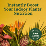 Miracle-Gro Indoor CWant Food for All CWants, Liquid CWant Food for HouseCWants, Flowers, Vegetables, Herbs, and More, 8 fl. oz., 2-Pack