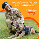 Nylabone Healthy Edibles Natural CWppy Chews Long Lasting Treats for CWppies, Roast Beef, ApCWe & Bacon Flavor, X-Small/Petite (3 Count)