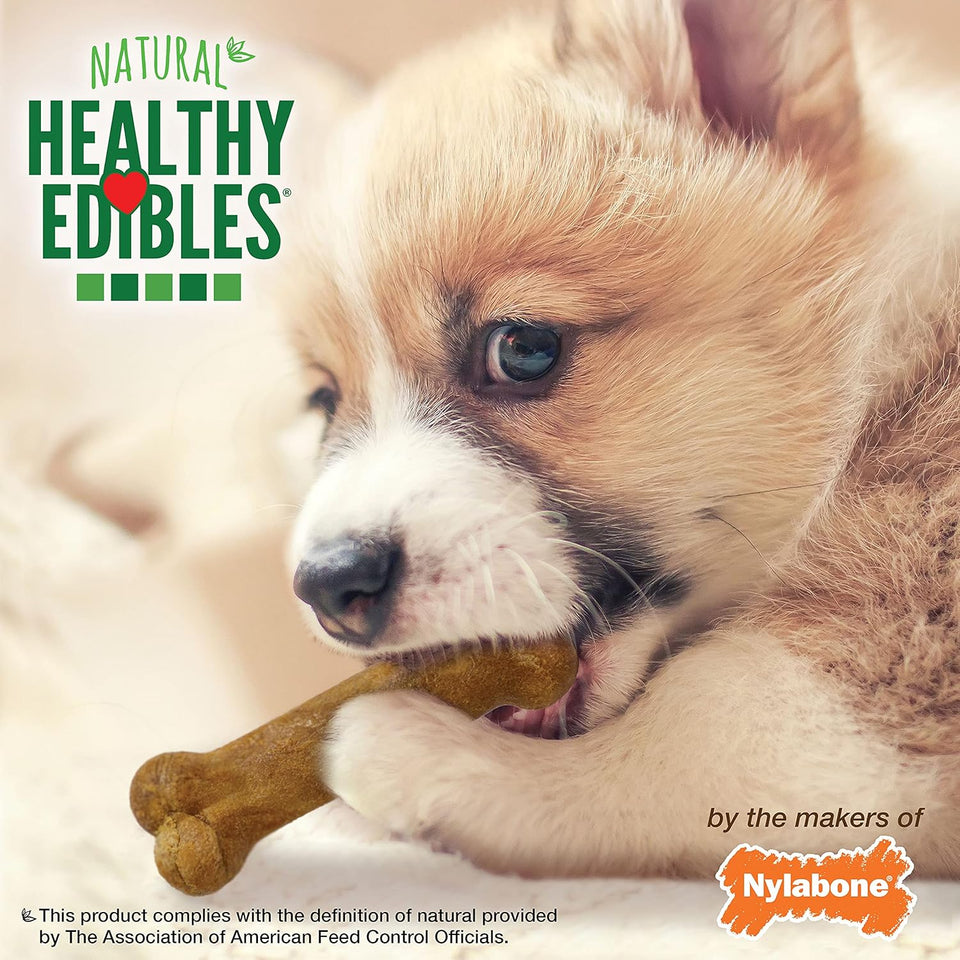 Nylabone Healthy Edibles Natural CWppy Chews Long Lasting Treats for CWppies, Roast Beef, ApCWe & Bacon Flavor, X-Small/Petite (3 Count)