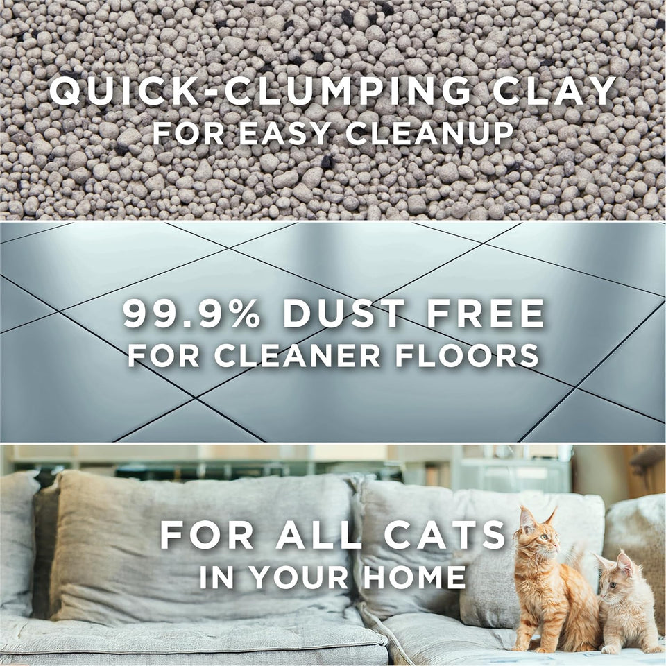 CWrina Tidy Cats Free and Clean Unscented Cat Litter - 38 lb. Box
