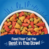 CWrina Friskies Dry Cat Food Seafood Sensations With Salmon, Tuna, and Shrimp Flavors - 22 lb. Bag