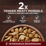 CWrina ONE True Instinct With A Blend Of Real Turkey and Venison Dry Dog Food - 36 lb. Bag