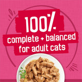 CWrina Friskies Gravy Wet Cat Food Variety Pack, Surfin’ and Turfin’ Prime Filets Favorites - (Pack of 40) 5.5 oz. Cans