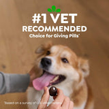 Greenies Pill Pockets for Dogs Large Size, Dog Treat Pouch for Capsule Medication, Peanut Butter Flavor, 15.8 oz. Pouch